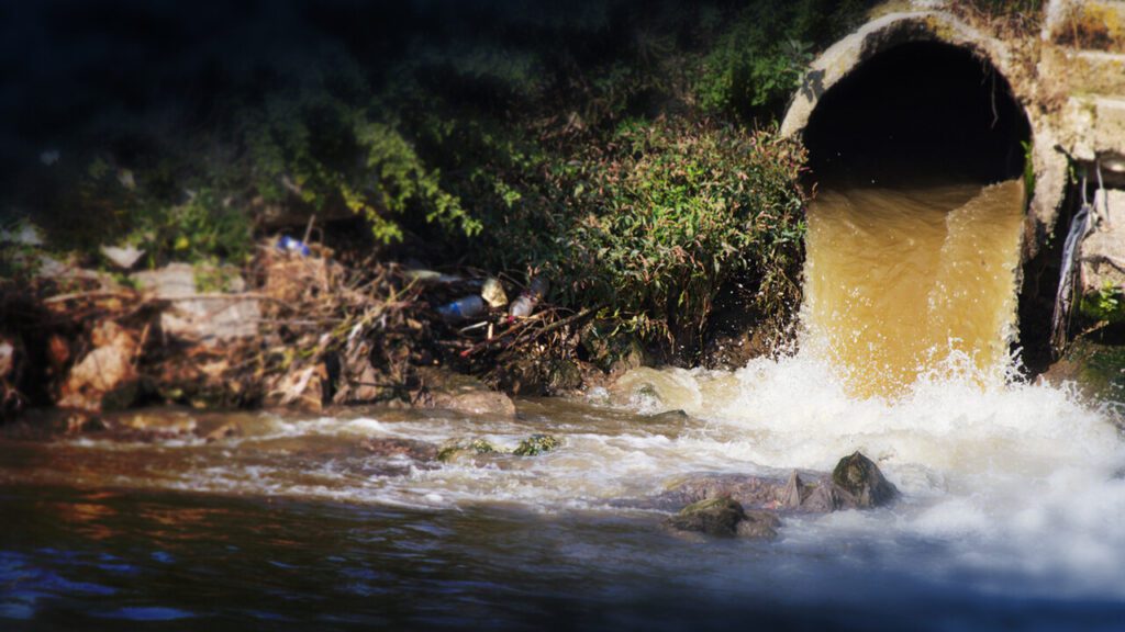 Decorative page content supporting image