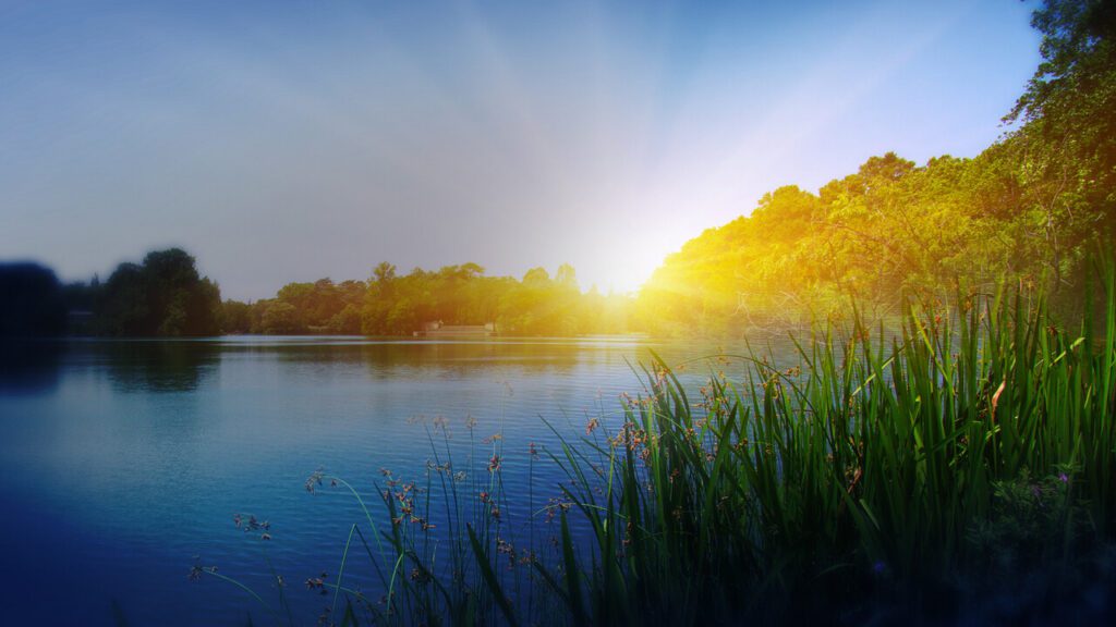 Decorative page content supporting image